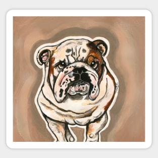 Shy Bulldog Sticker